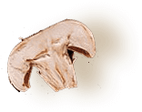 slider_shape_02